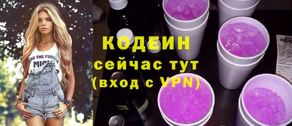 соль ск Новодвинск