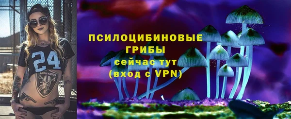 ешки Новозыбков