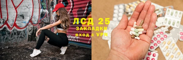 ешки Новозыбков