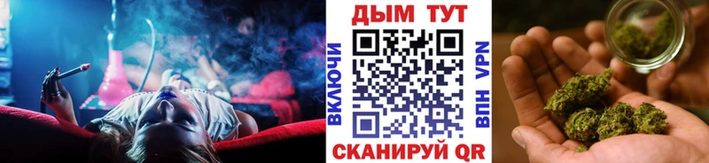 Бошки Шишки гибрид  Купить закладки  Вольск 